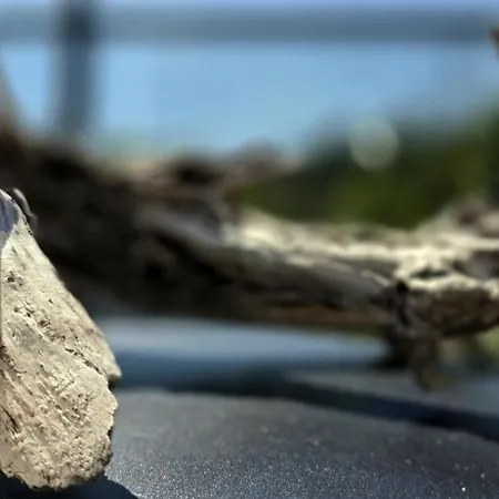 Hamptons By Triapart *