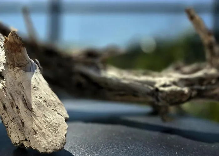 Hamptons By Triapart *