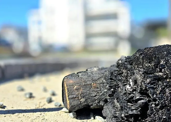 公寓 Hamptons By Triapart 詹塔尔